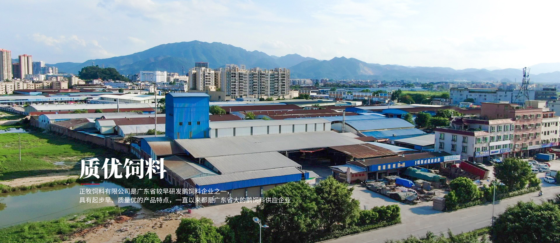 鲍勃体育app官网下载