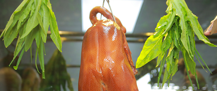 鲍勃体育app官网下载