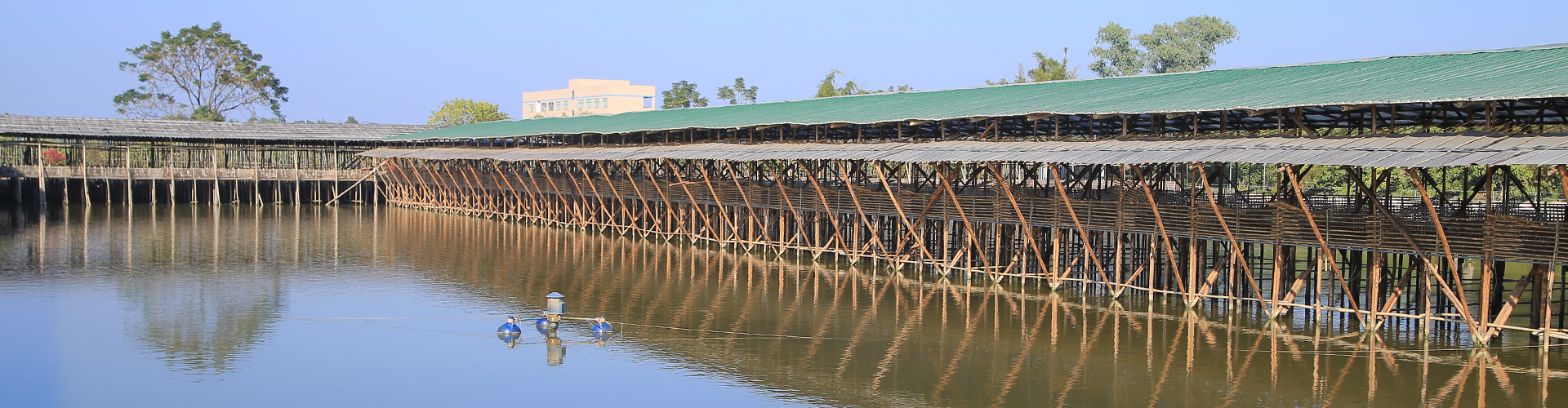 BOB综合官方入口