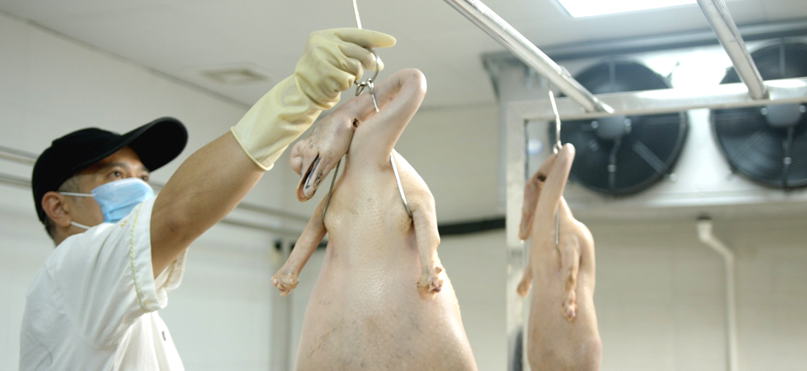 鲍勃体育app官网下载